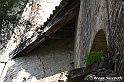 VBS_4487 - Castellinaldo d'Alba